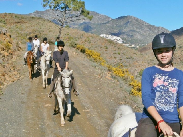  Descubra os nossos passeios a cavalo 